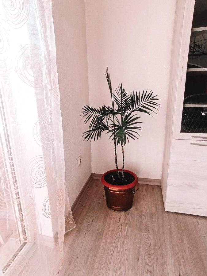 Poseidon House Apartment Mostar Bagian luar foto